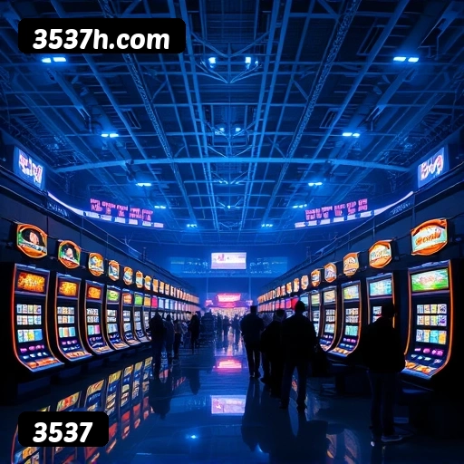 Desfrute de Ofertas Exclusivas da 3537!